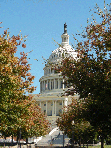 DSCN2952.gif - US Capitol (Oct '08)